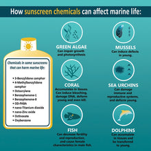 Load image into Gallery viewer, VEGAN MINERAL SUNCREAM SPF30